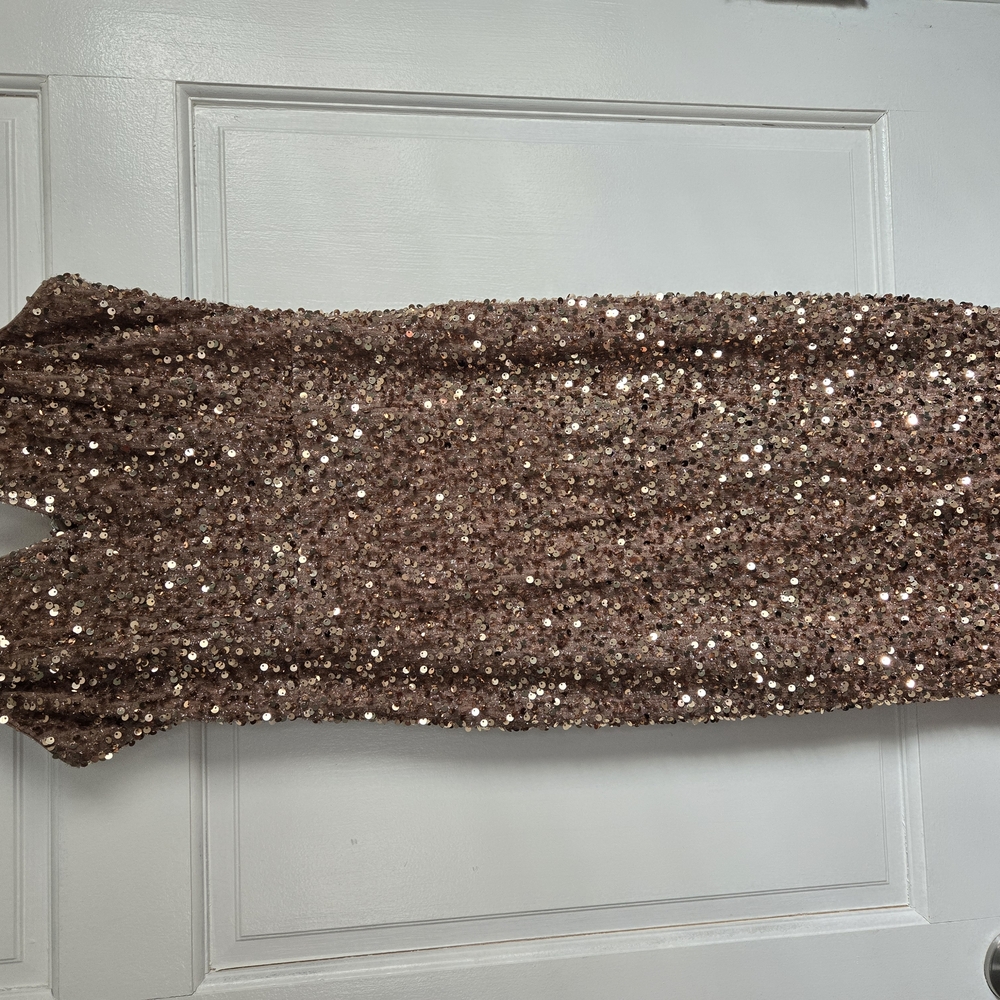 Sparkling Sequin Rose Gold Dress